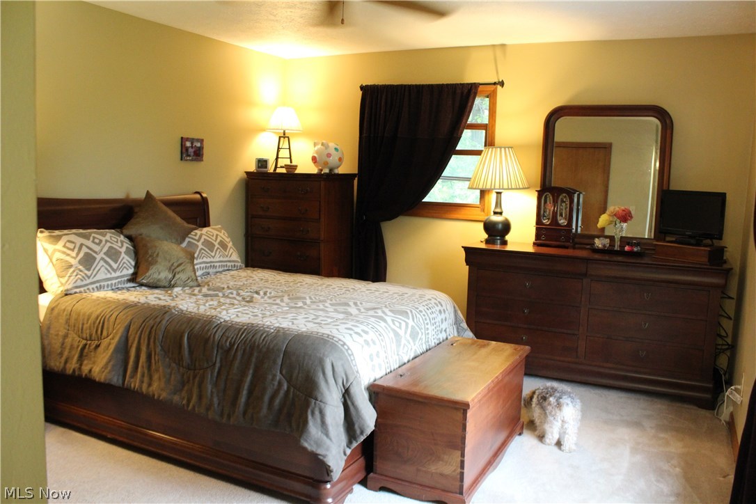 7897 Tower Road Seville, OH 44273 - Photo 17 of 24 Master bedroom