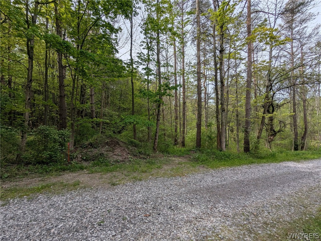 34 Treehaven Road Wethersfield, NY 14066 - Photo 4 of 7