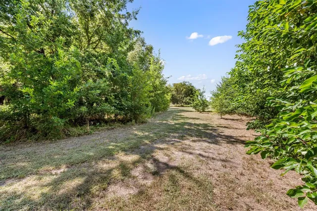 a view of a big yard with large trees