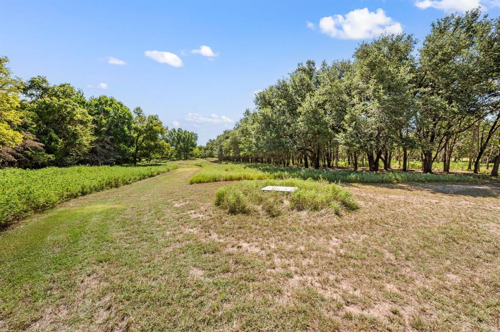 13109 Roanoke Road Westlake, TX 76262 - Photo 13 of 35 a view of a big yard with large trees