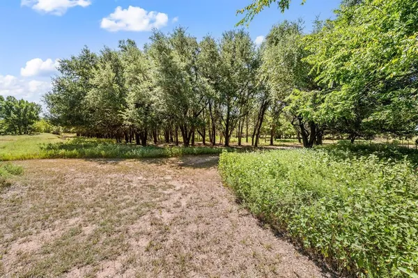a view of outdoor space with trees