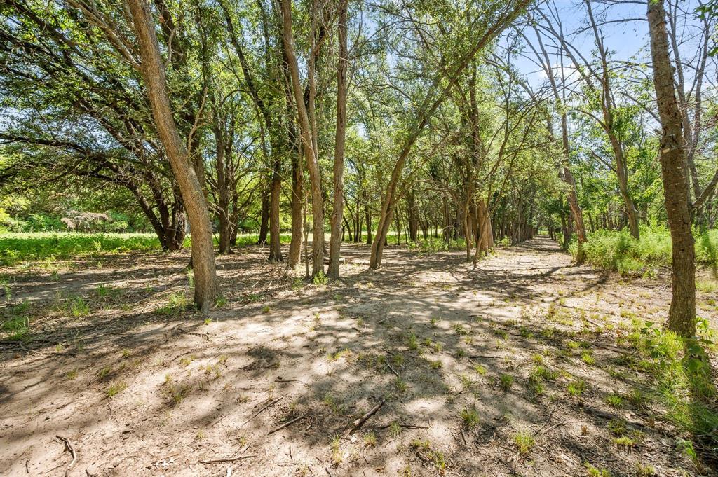 13109 Roanoke Road Westlake, TX 76262 - Photo 15 of 35 a view of outdoor space with trees