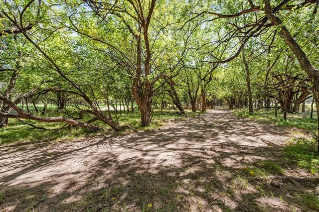 a view of a trees with a yard