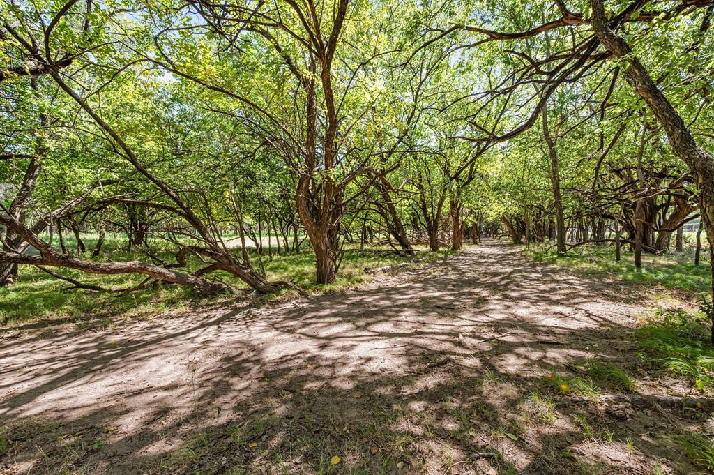 13109 Roanoke Road Westlake, TX 76262 - Photo 16 of 35 a backyard of a house with lots of green space
