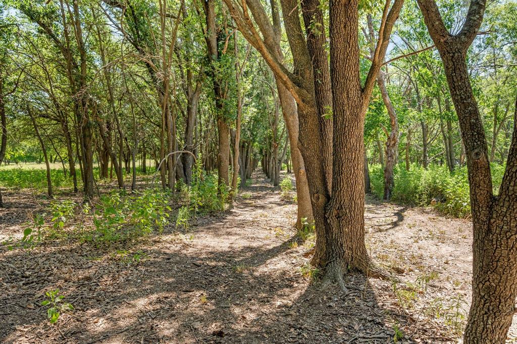 13109 Roanoke Road Westlake, TX 76262 - Photo 17 of 35 a view of a trees with a yard
