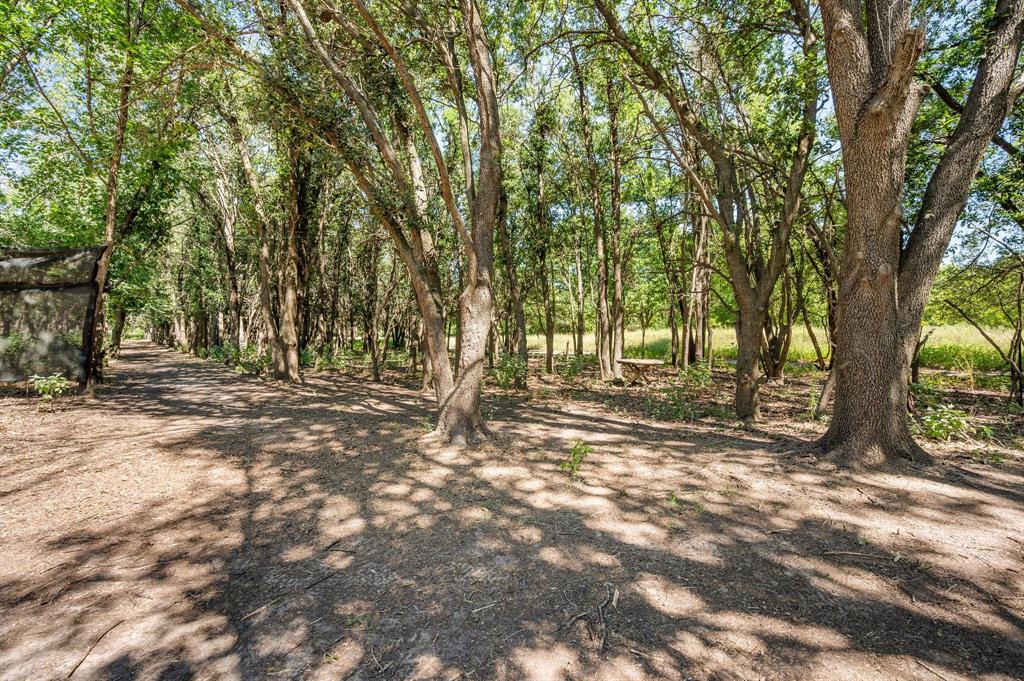 13109 Roanoke Road Westlake, TX 76262 - Photo 19 of 35 a view of outdoor space with trees
