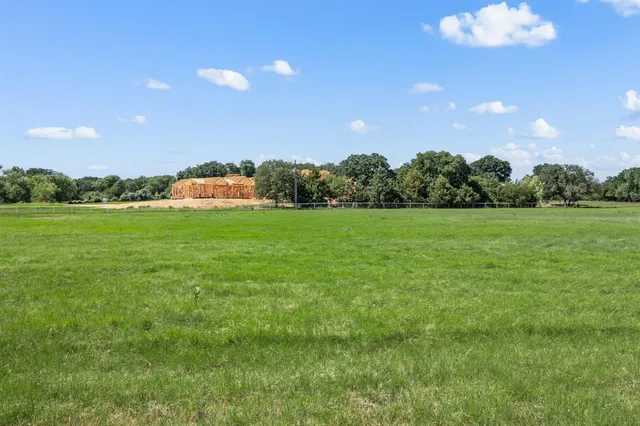 a view of a big yard with lots of bushes