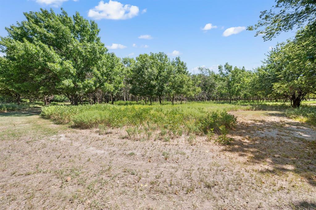 13109 Roanoke Road Westlake, TX 76262 - Photo 10 of 35 a view of a field with trees in the background