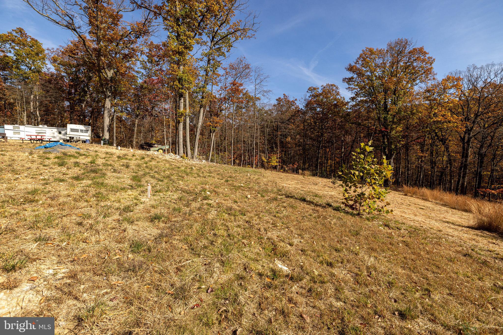 0 Moreland Gap Road Mount Jackson, VA 22842 - Photo 14 of 37