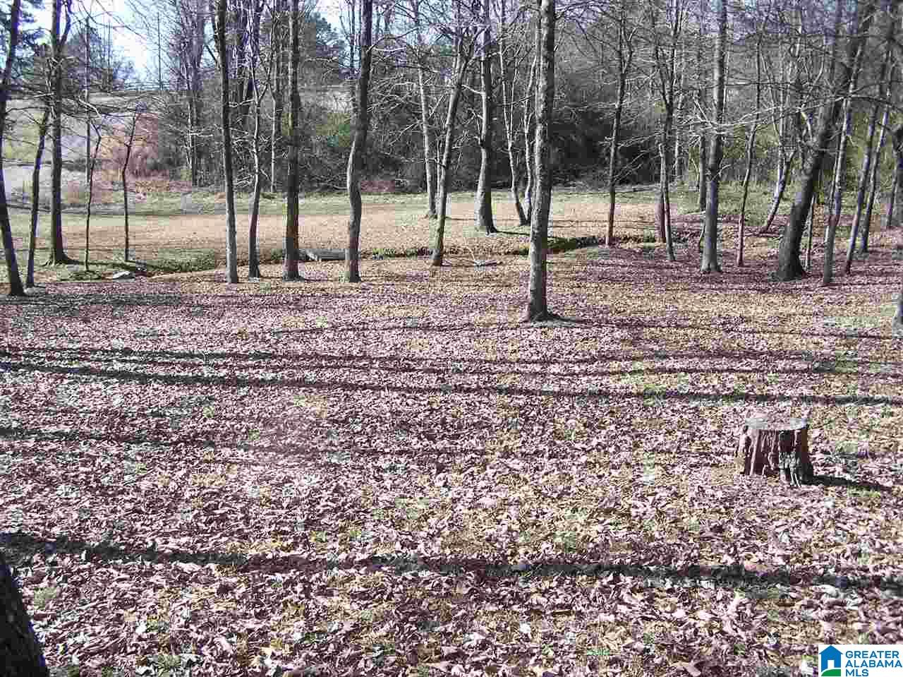 4693 Highway 45 Hayden, AL 35079 - Photo 24 of 27