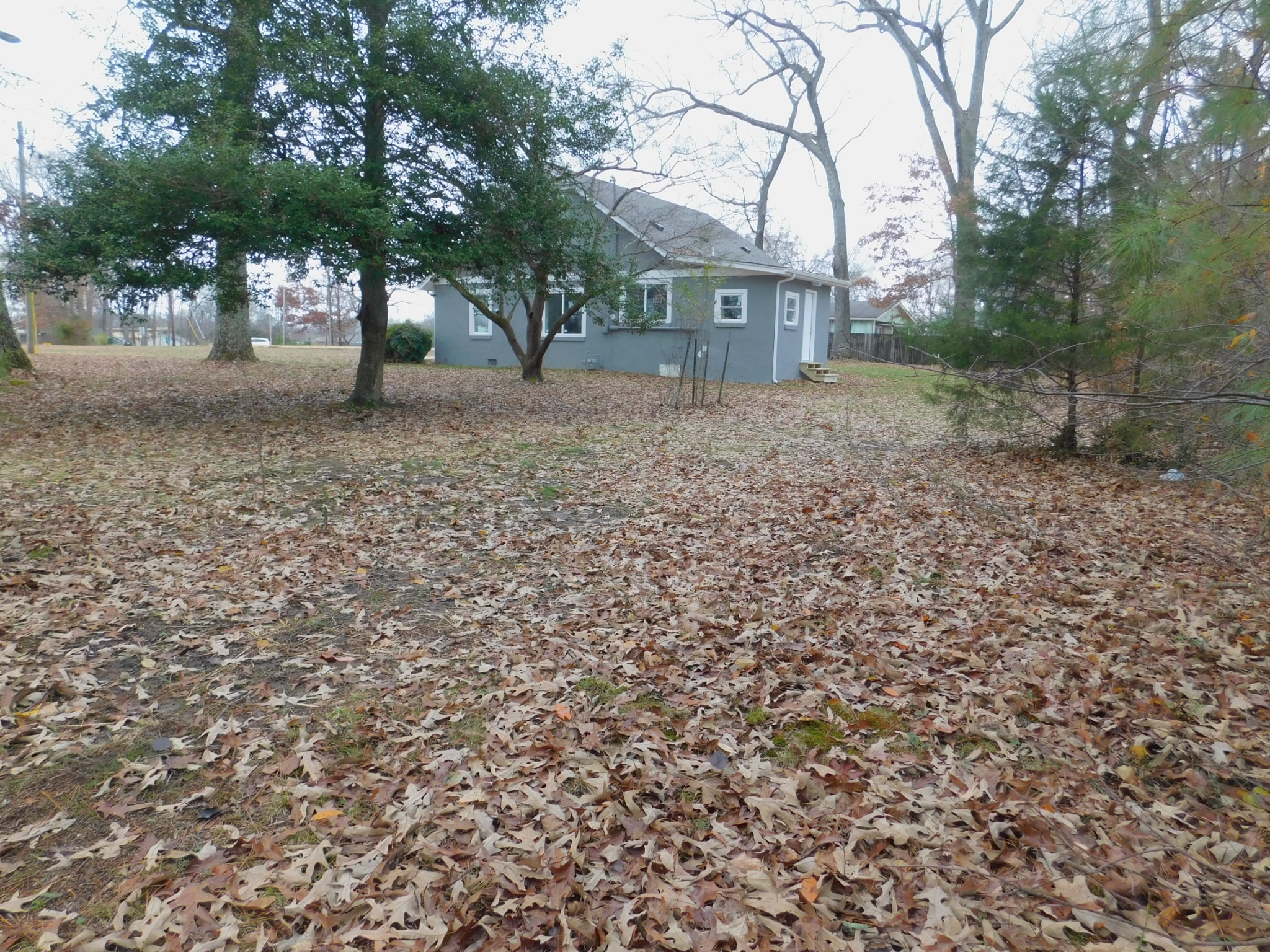 736 Riley Creek Road Tullahoma, TN 37388 - Photo 23 of 25 a backyard of a house with lots of green space