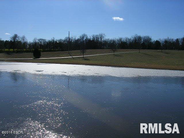 3175 Gilead Church Road Simpson, IL 62985 - Photo 30 of 35