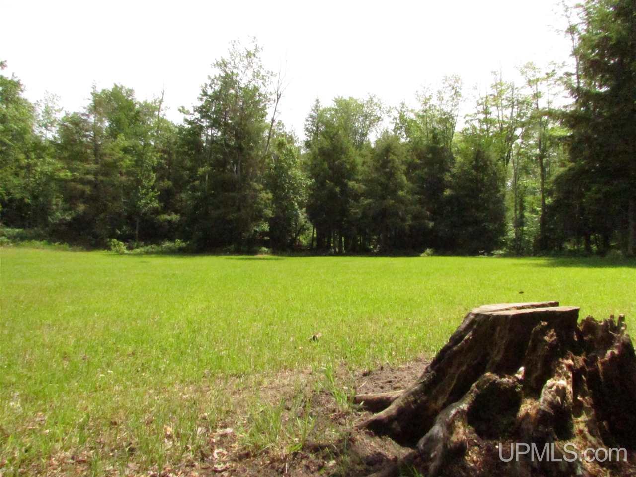 N12426 Driggs River Road Seney, MI 49883 - Photo 26 of 74 Gallery Image 26