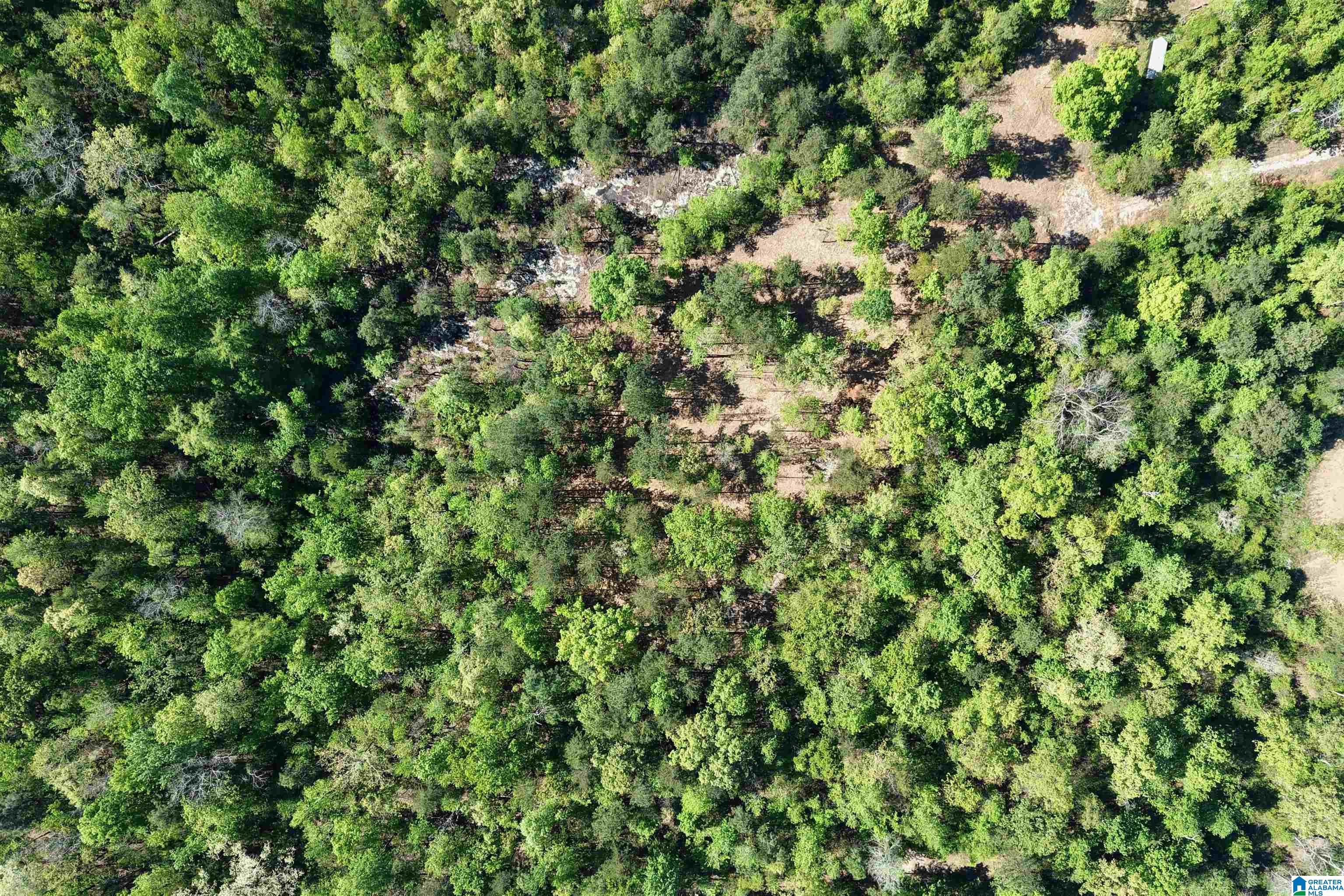 246 Spring Water Farms, Unit 2 Helena, AL 35022 - Photo 25 of 25