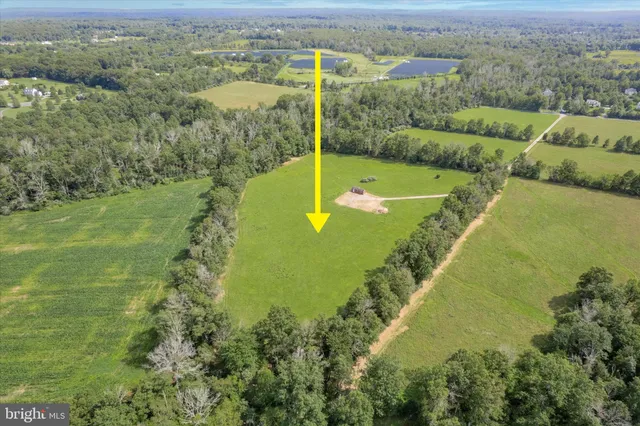 a view of a field with a big yard