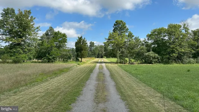 a view of a city with lush green space and fence