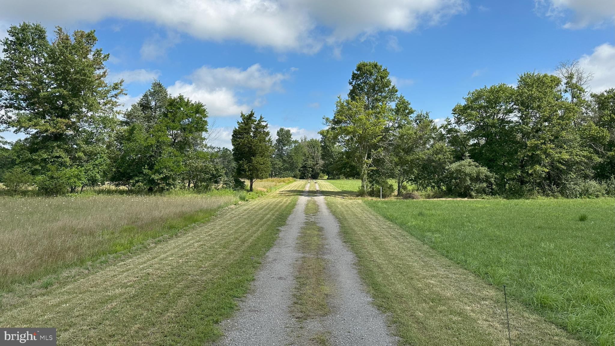 37 Barbertown Point Breeze Road Frenchtown, NJ 08825 - Photo 28 of 56 a view of park with trees