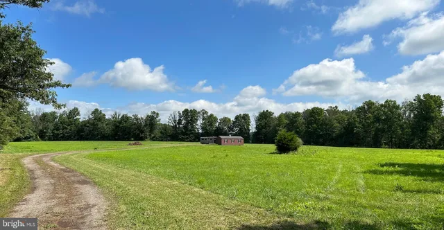 a view of garden with trees