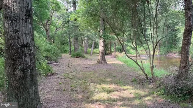 a view of lake with green space