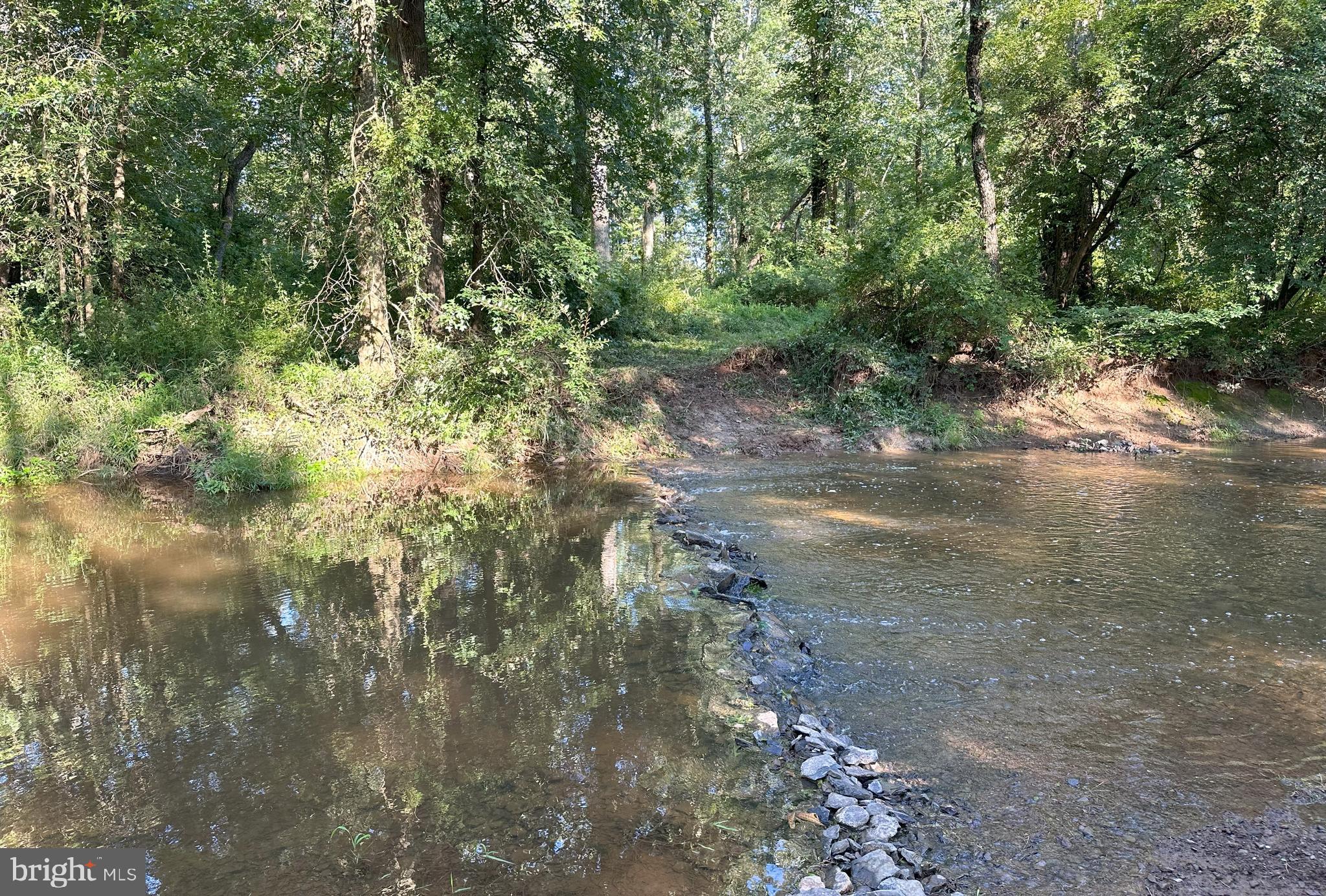 37 Barbertown Point Breeze Road Frenchtown, NJ 08825 - Photo 34 of 56 a view of a yard with a tree