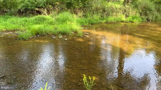 a view of a lake with a yard