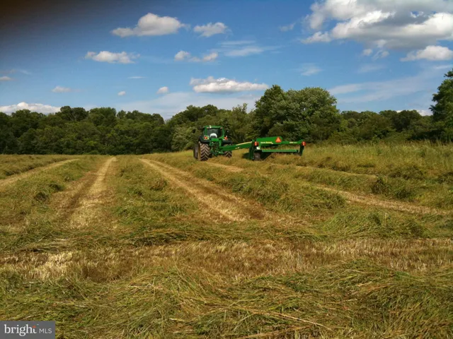 a view of a dry yard