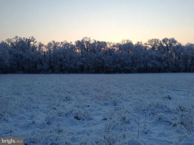 a view of a dry yard