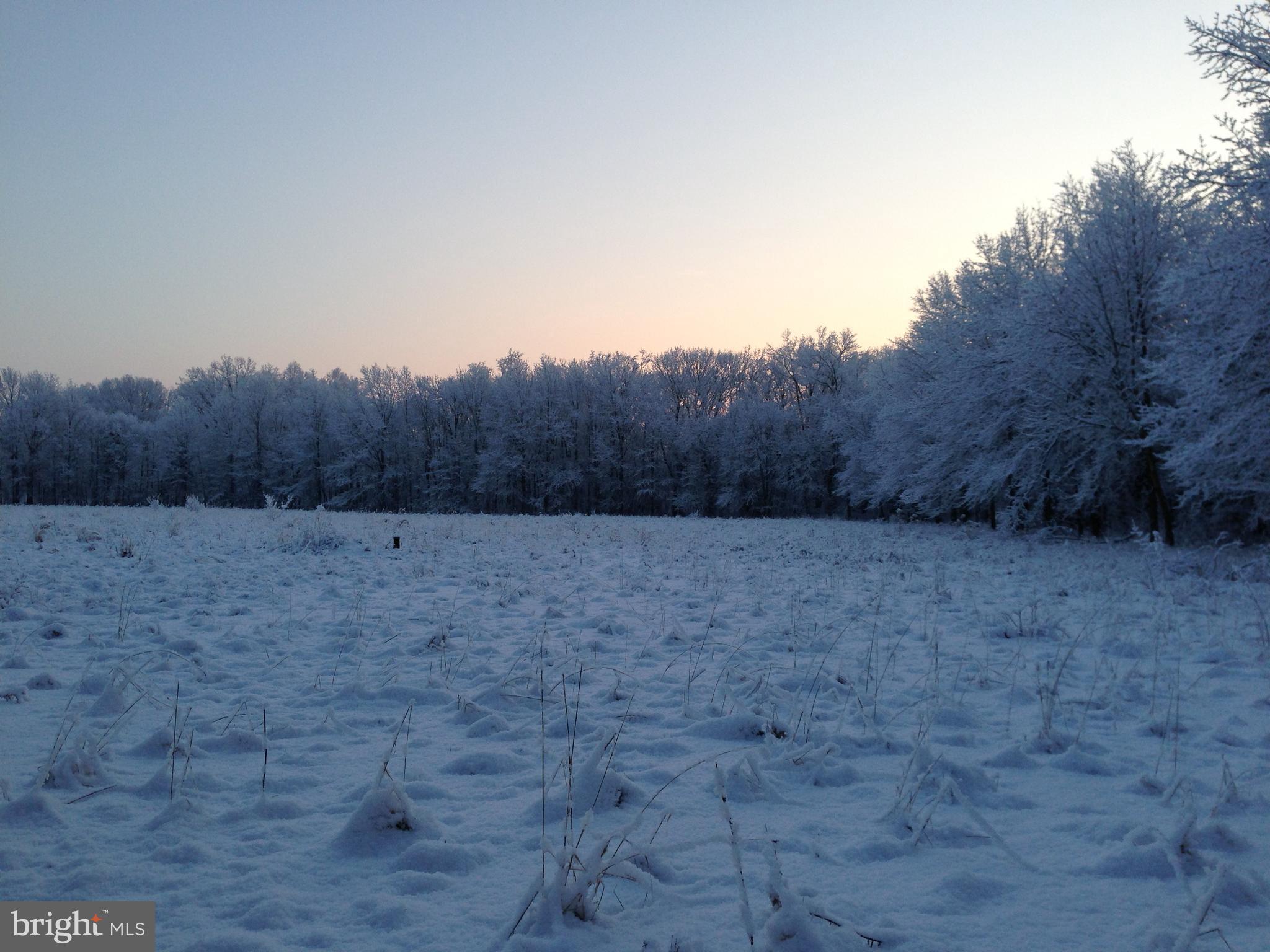 37 Barbertown Point Breeze Road Frenchtown, NJ 08825 - Photo 51 of 56 a view of a dry yard
