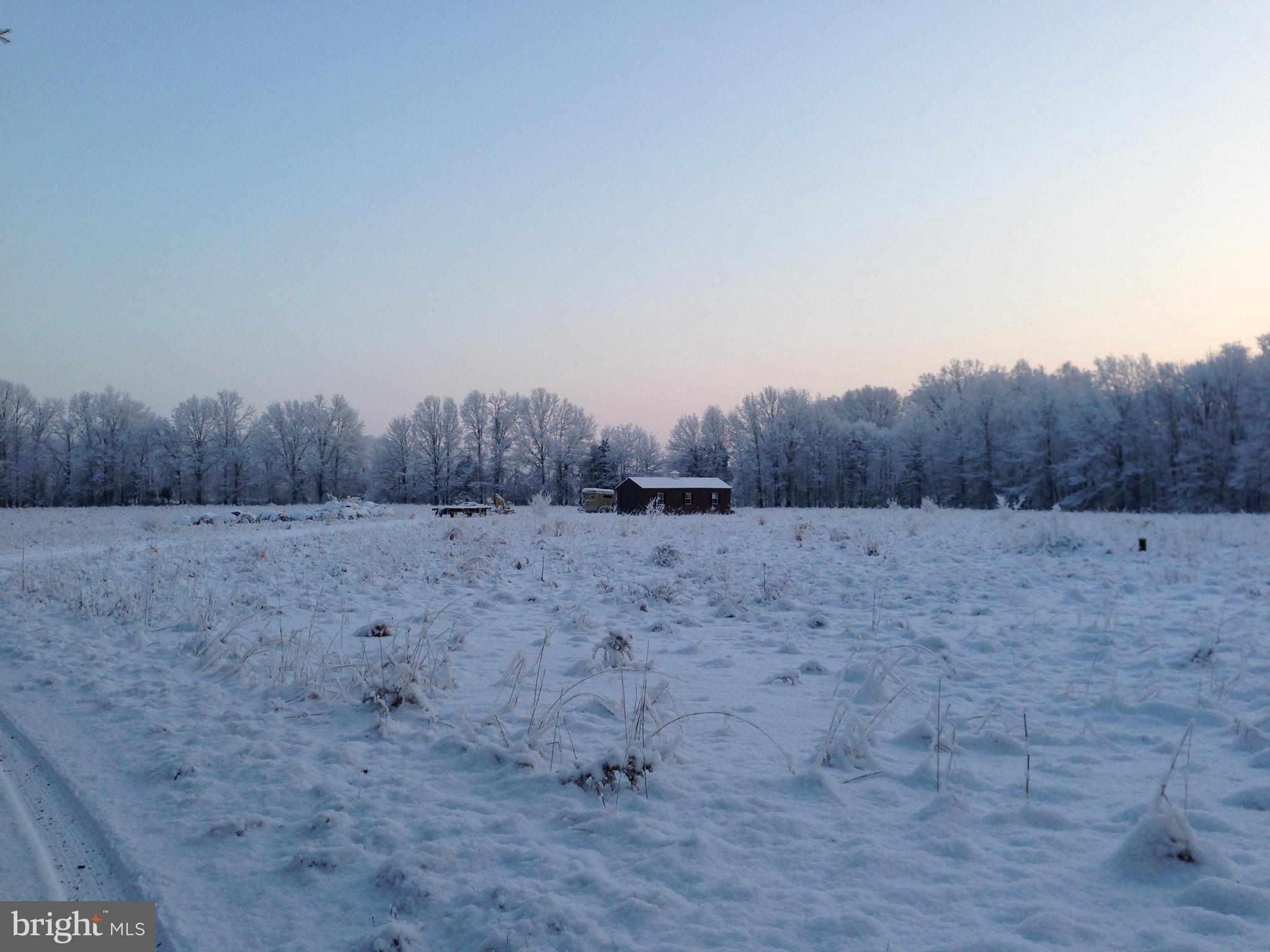 37 Barbertown Point Breeze Road Frenchtown, NJ 08825 - Photo 52 of 56 a view of a dry yard