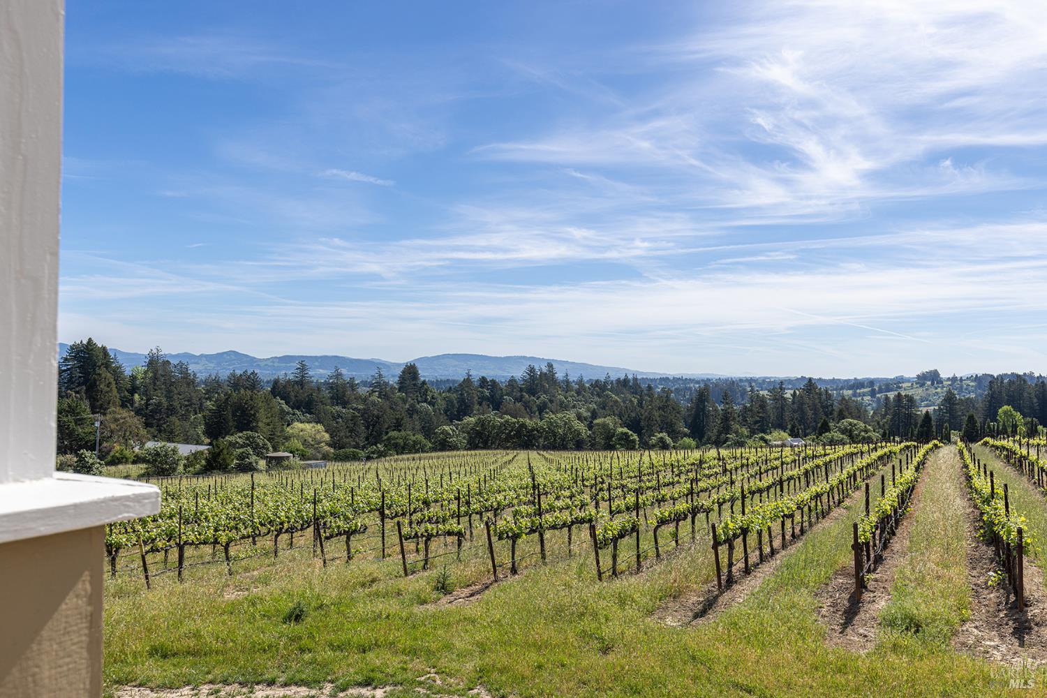 1365 Grandview Road Sebastopol, CA 95472 - Photo 35 of 74