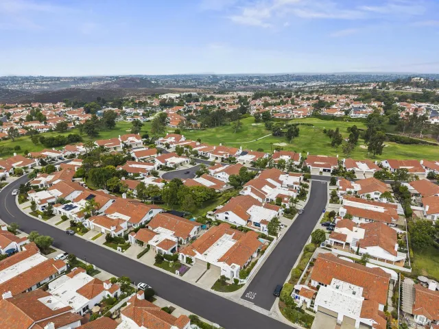a view of a park with a tree
