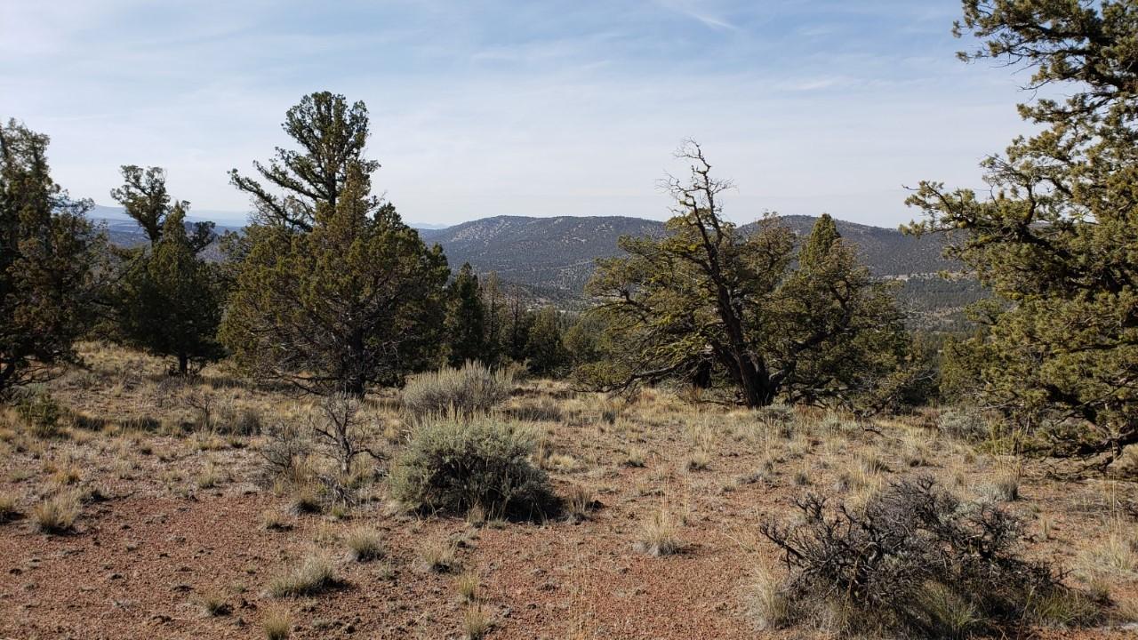 280-acres Southeast 280-acres Se Reed Road Prineville, OR 97754 - Photo 5 of 18 thumbnail_Resized_20191012_114930