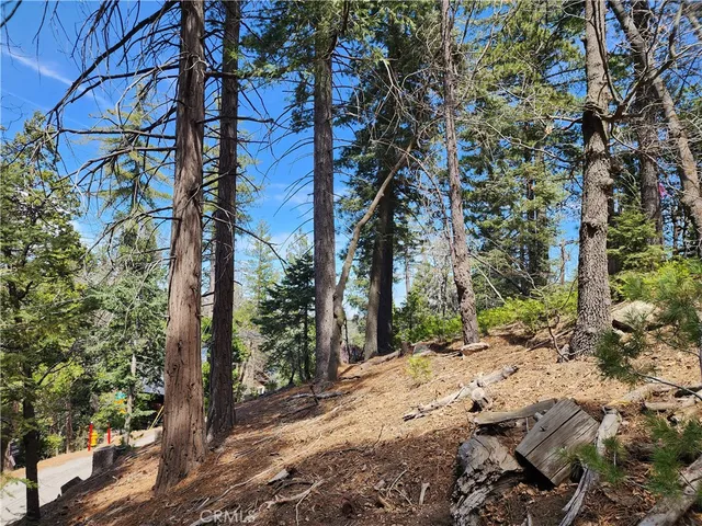 a view of a yard with plants and trees