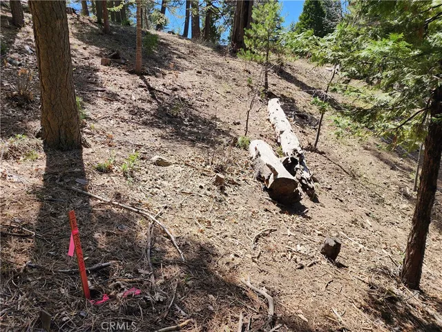 a view of a yard covered with snow