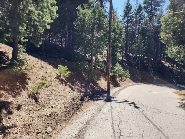 a view of backyard with large trees