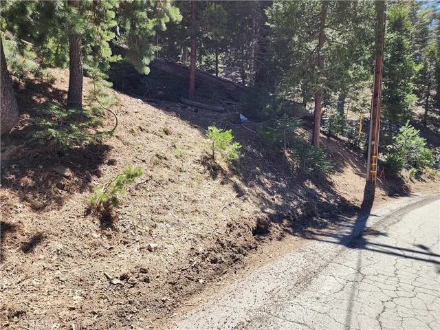 a view of a yard with trees