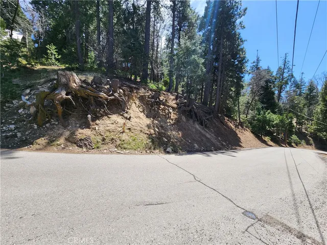 a view of path and trees