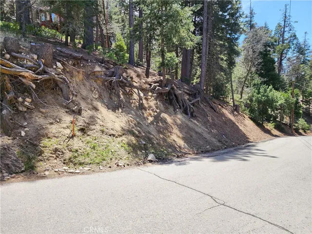 a view of outdoor space and yard
