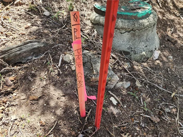 a bird view of a area