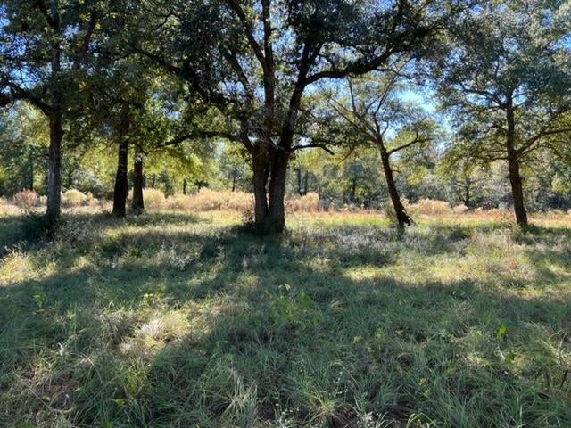 0 Unnamed Road Florala, AL 36442 - Photo 7 of 39 Gallery Image 7