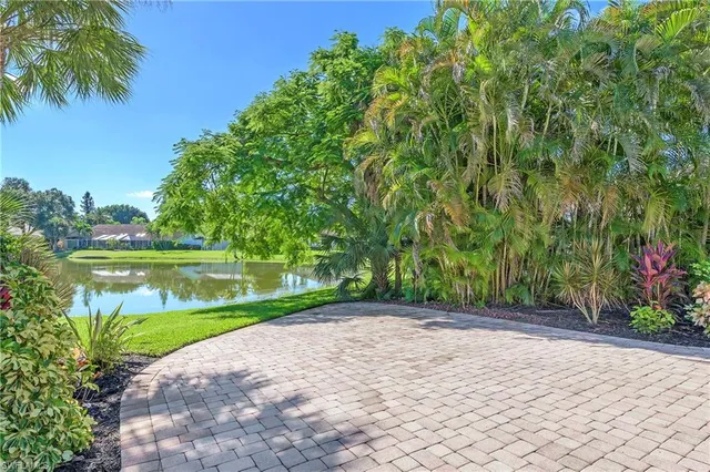 a view of a garden with a lake