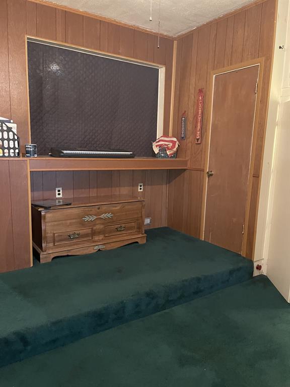 100 Snow Street Bangs, TX 76823 - Photo 13 of 28