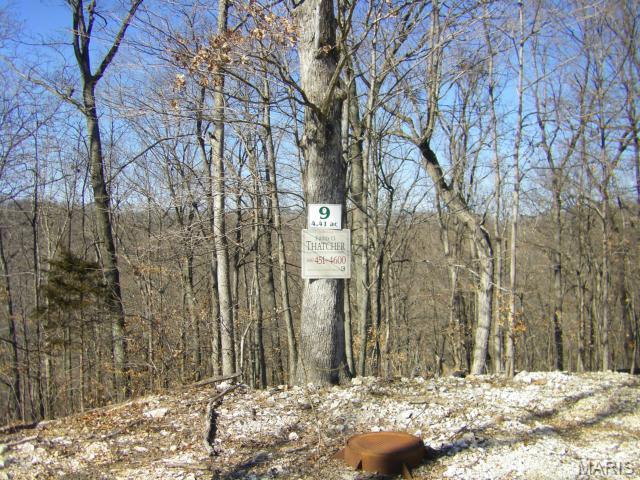 9 Old Logging Road, Unit 9 Eureka, MO 63025 - Photo 3 of 3