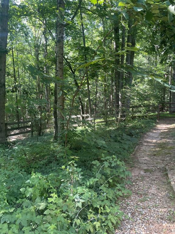 988 Rocktree Road Dahlonega, GA 30533 - Photo 51 of 53