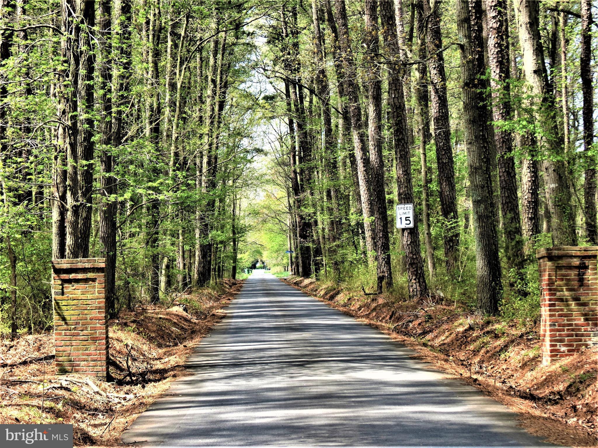 25450 Chance Farm Road St. Michaels, MD 21663 - Photo 2 of 64 Road to Lastly
