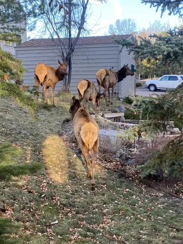 $550,000 | 23660 Pondview Place, Unit E, Golden, CO 80401