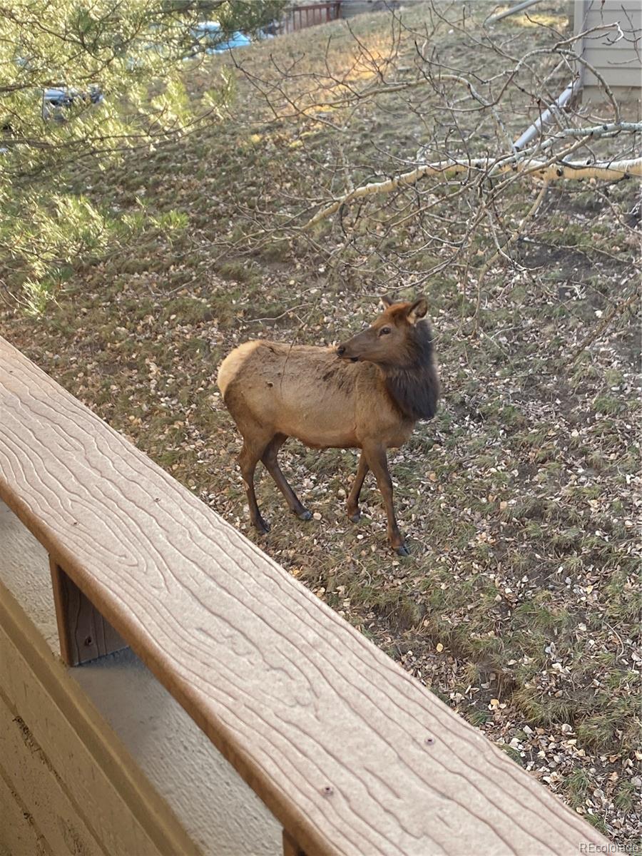 23660 Pondview Place, Unit E Golden, CO 80401 - Photo 26 of 28 a balcony with table and chairs