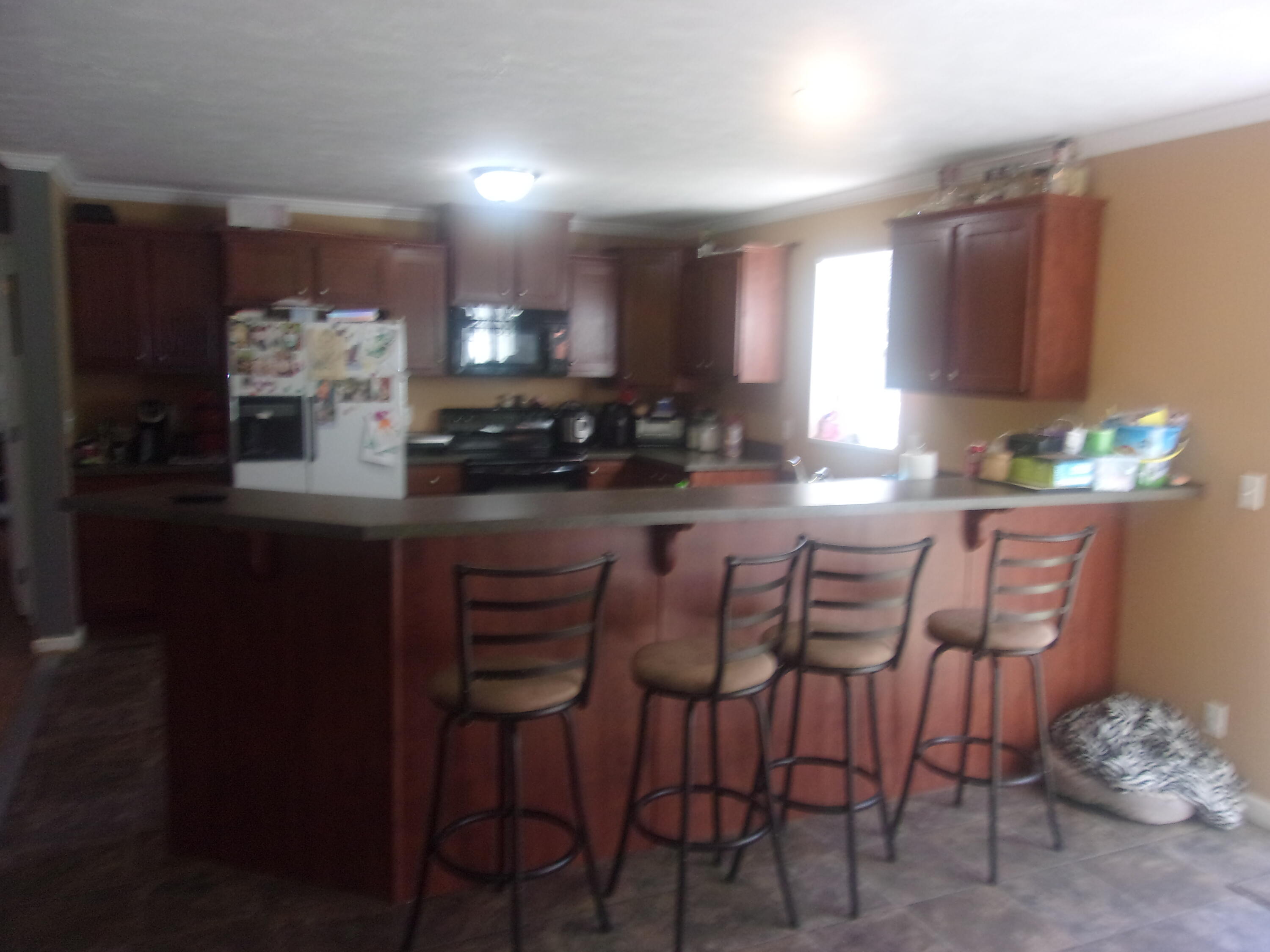 1195 Vaught Ridge Road Science Hill, KY 42553 - Photo 3 of 12 100_0539