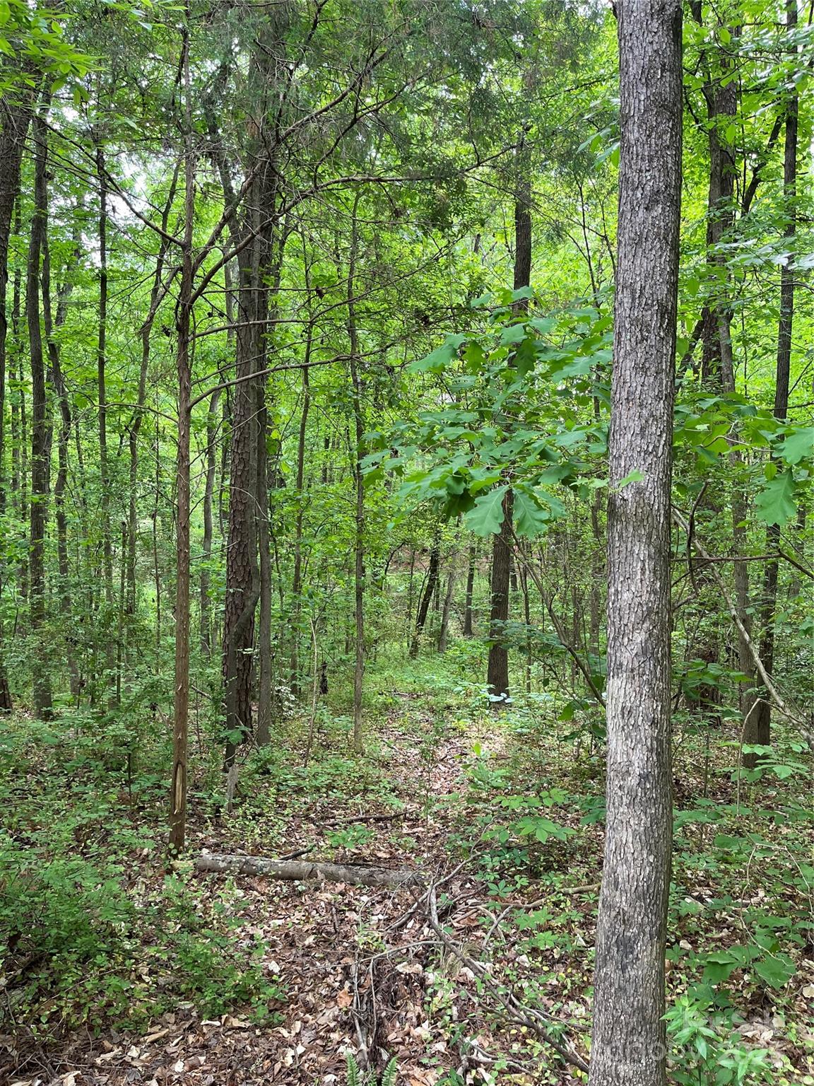 7.52-acres Sides Road Kannapolis, NC 28083 - Photo 4 of 8 Gallery Image 4