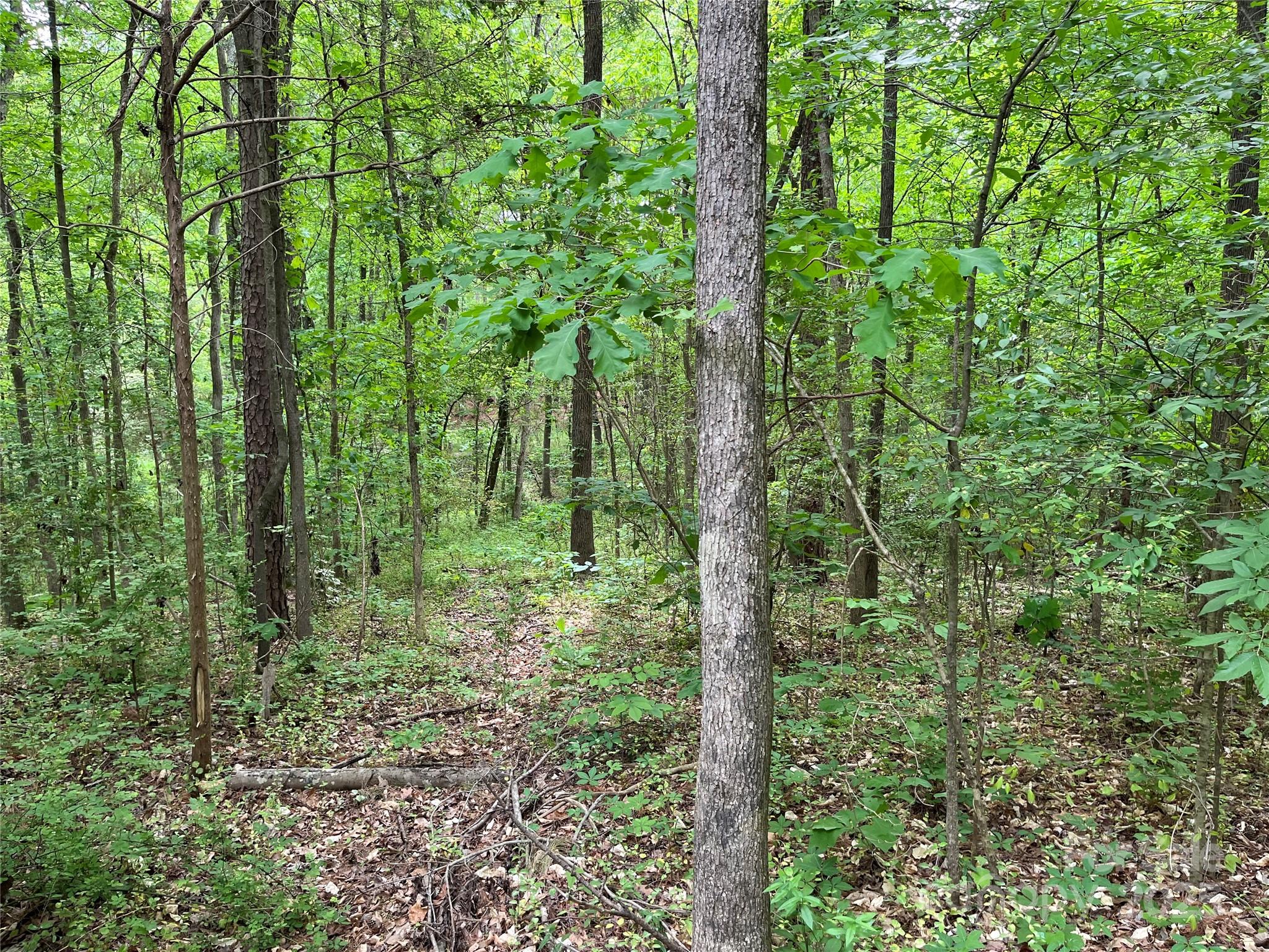 7.52-acres Sides Road Kannapolis, NC 28083 - Photo 5 of 8 Gallery Image 5